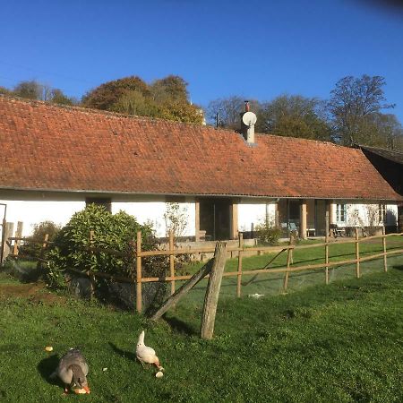 La Fermette De Jules Affittacamere Fressin Esterno foto