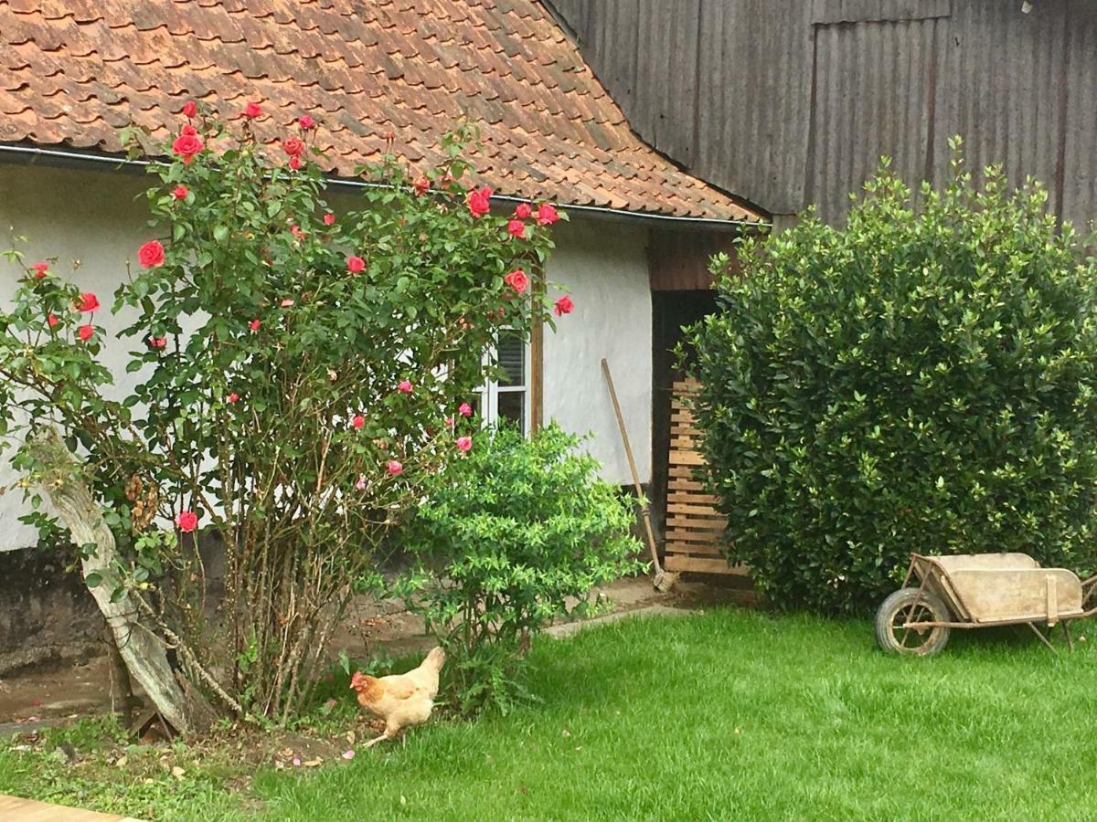 La Fermette De Jules Affittacamere Fressin Esterno foto